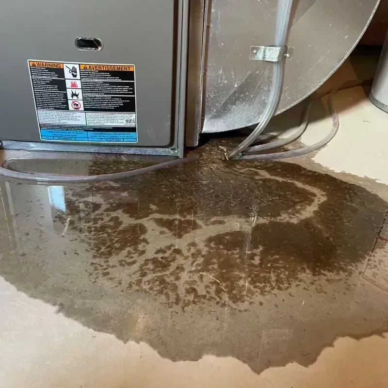 Appliance Leak Cleanup in Stockton, CA